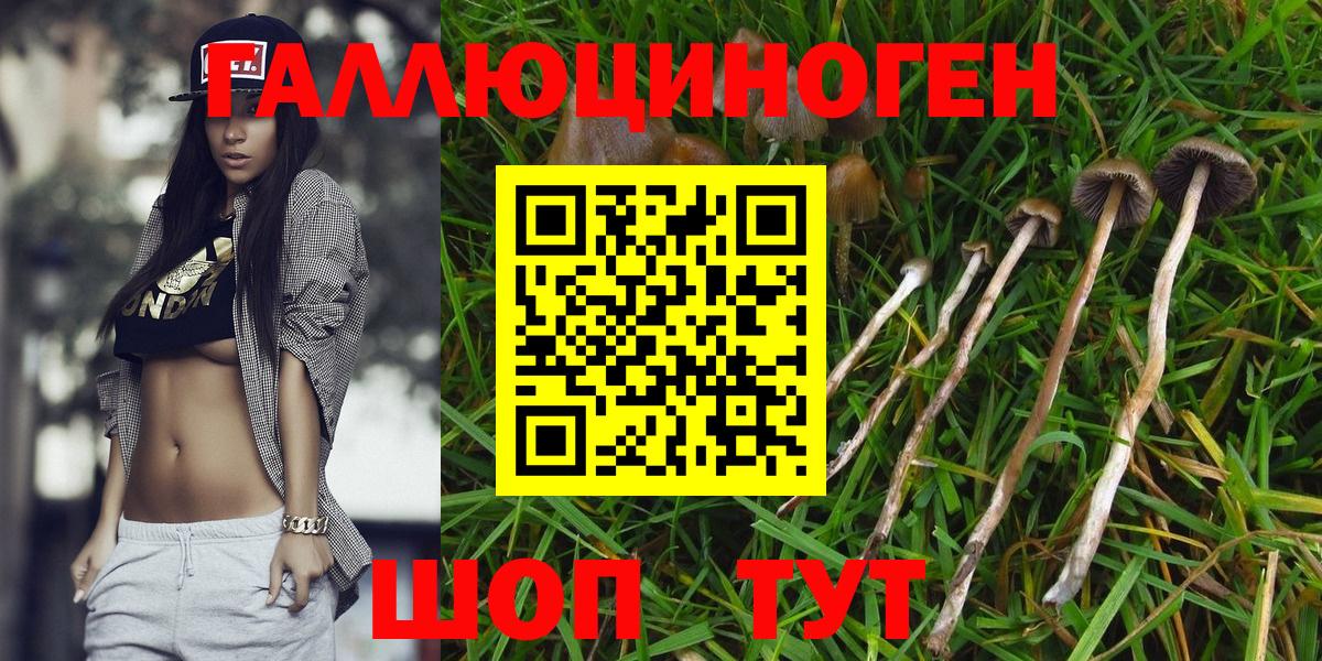 Галлюциногенные грибы Cubensis Мытищи