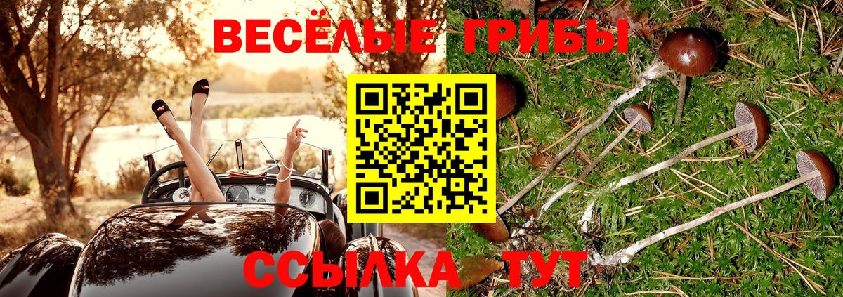 Мытищи  Псилоцибиновые грибы прущие грибы  Псилоцибиновые грибы Cubensis  Вход с VPN 